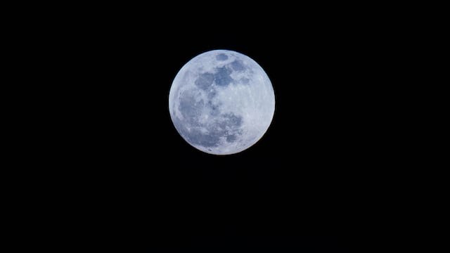 ¿Cuándo y dónde ver la Luna del Castor de noviembre 2024?