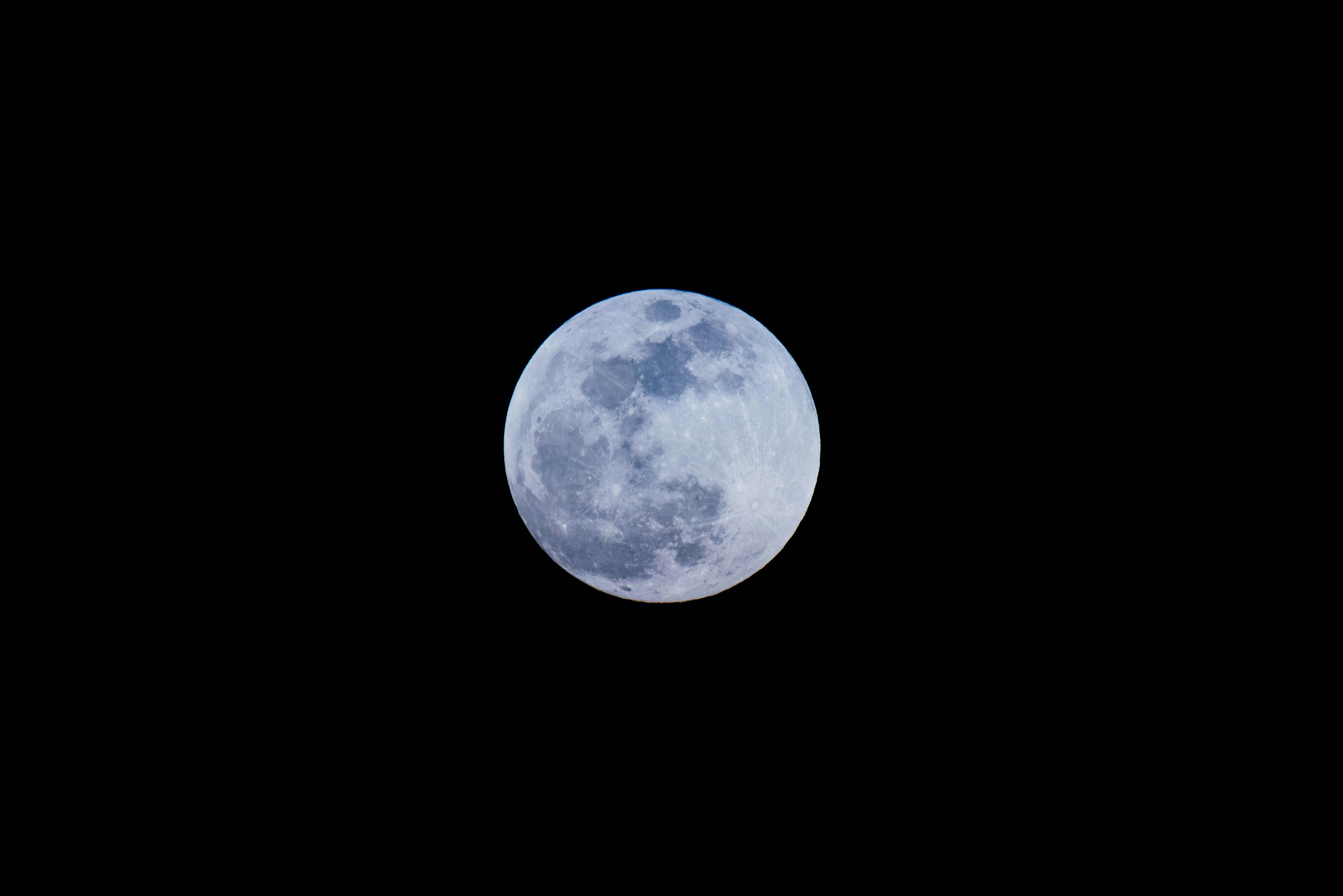 ¿Cuándo y dónde ver la Luna del Castor de noviembre 2024?