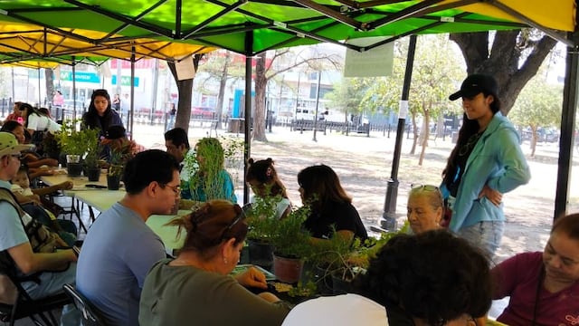 Monterrey promueve educación ambiental con “Alameda de Pinta”.