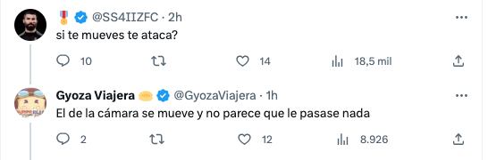 Reacciones por oso que come tacos