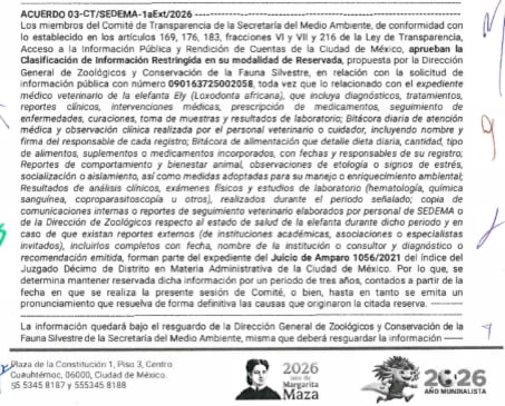 CDMX rechaza dar información sobre elefanta Ely.