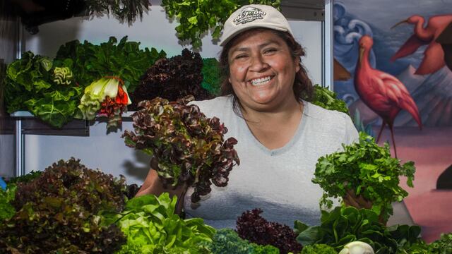 Productora de lechuga en México