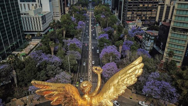 contaminacion primavera alergias