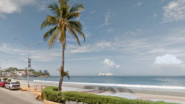 Van varias tortugas muertas, dicen vecinos