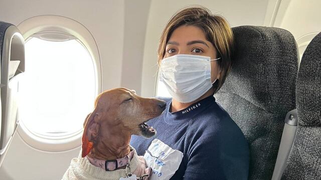 Ramona, la perrita repatriada a México desde Ucrania/SRE