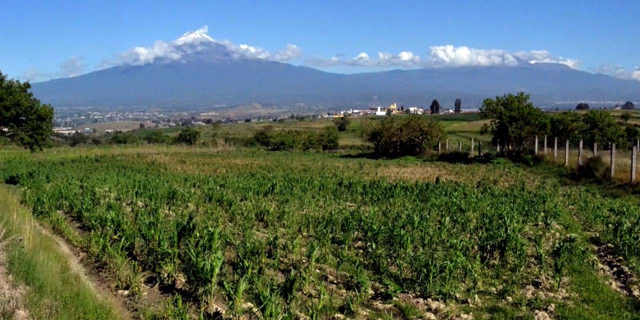 Investigadores del CICA en la BUAP