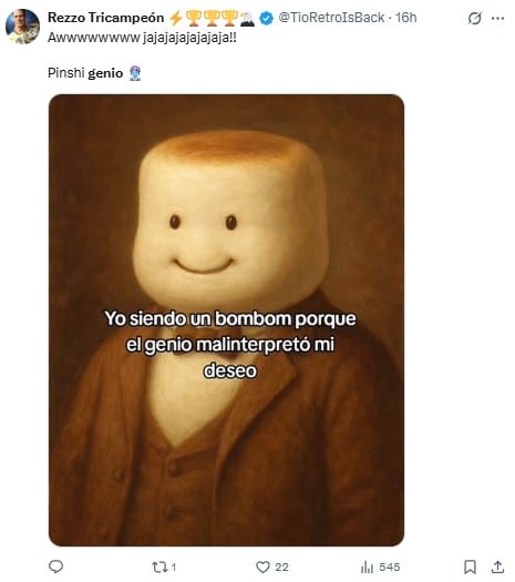Memes del genio malinterpretó mi deseo
