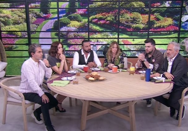 Programa Hoy