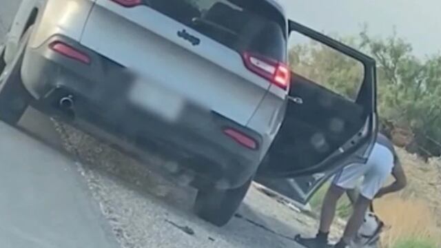 Abandona a Husky siberiano