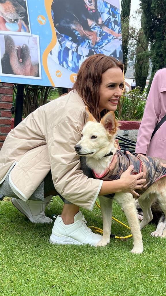 Clara Luz Flores impulsa proyecto de Protección Animal