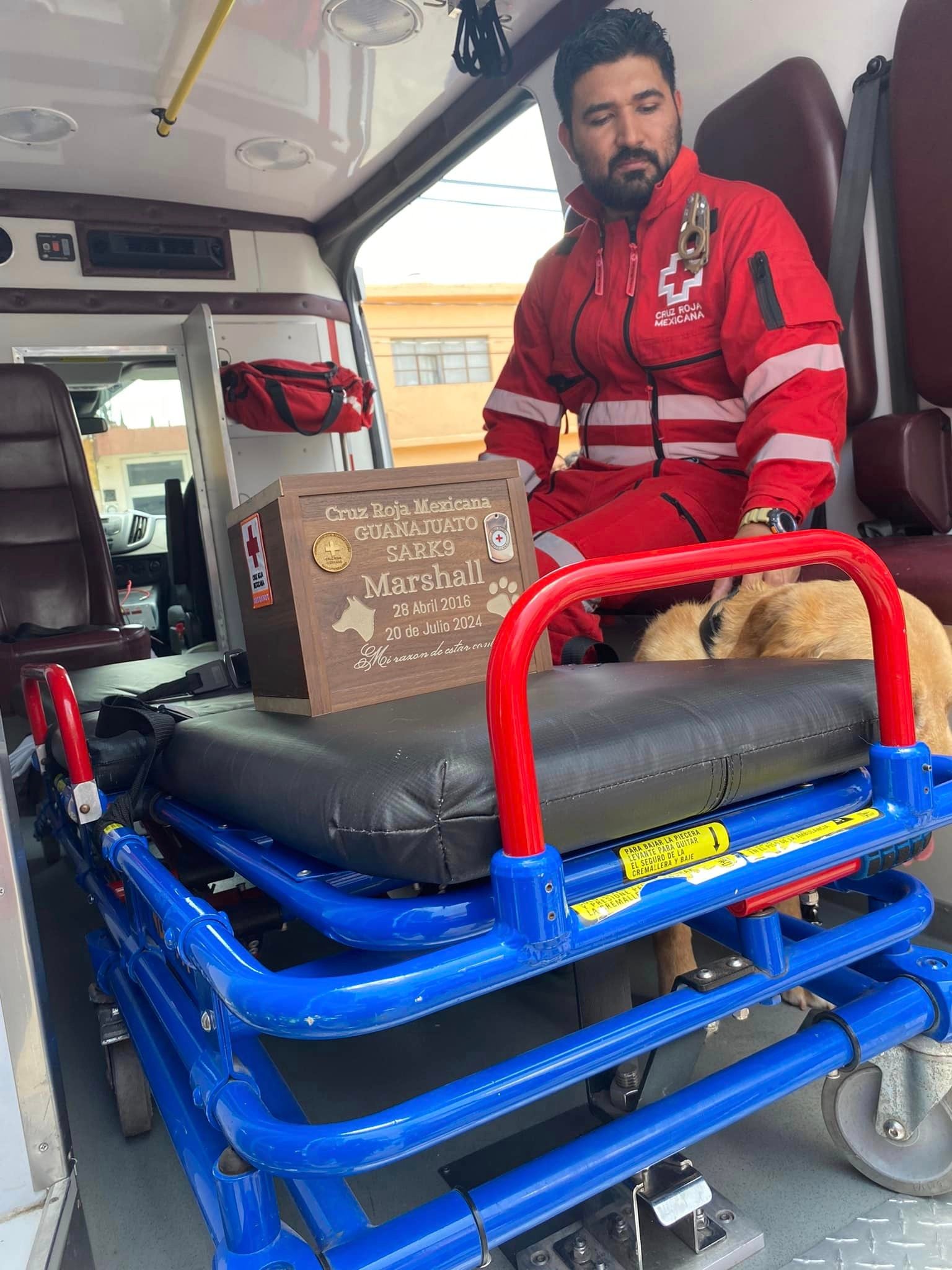 Marshall, perro rescatista mexicano, murió a los 7 años por falla renal