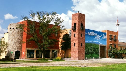 Viñedos La Redonda denuncia despojo tras toma armada de sus instalaciones