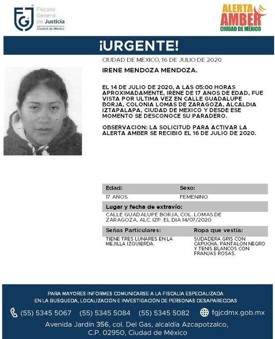 Ficha de búsqueda de Irene.