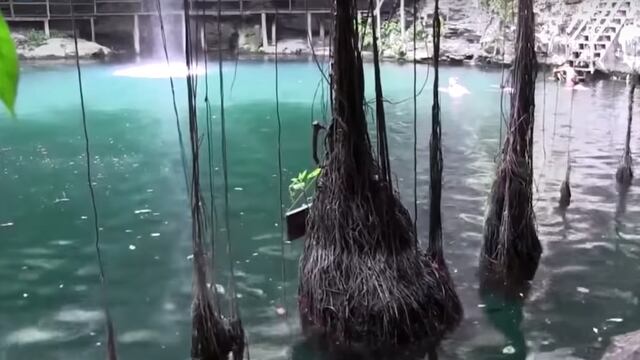 Comunidad maya rescata zona natural con cenotes; ahora es su principal fuente de empleo