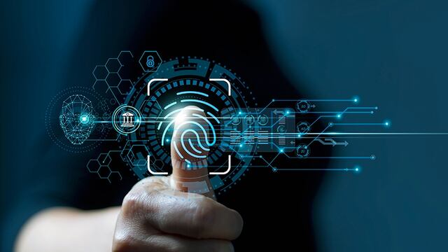 Tumba-burros Digital. Los efectos positivos de la economía virtual