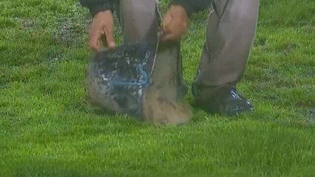 En el duelo entre Patronato y Botafogo de la Copa Sudamericana, el conjunto argentino tuvo que tapar un hoyo en su cancha con lodo.