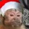Los mejores memes para compartir esta Navidad 2021