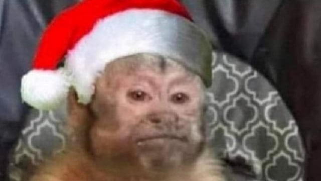Los mejores memes para compartir esta Navidad 2021