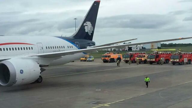 Aterriza de emergencia por chocar con un ave (imagen ilustrativa)