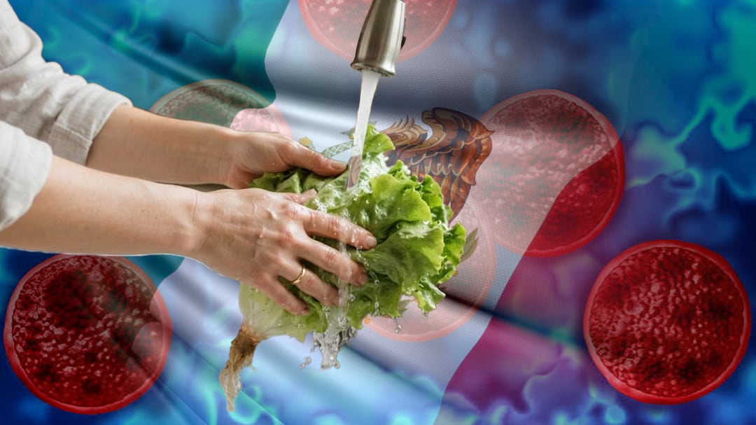 México registra 33 casos de Cyclospora, confirma Salud