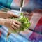 México registra 33 casos de Cyclospora, confirma Salud