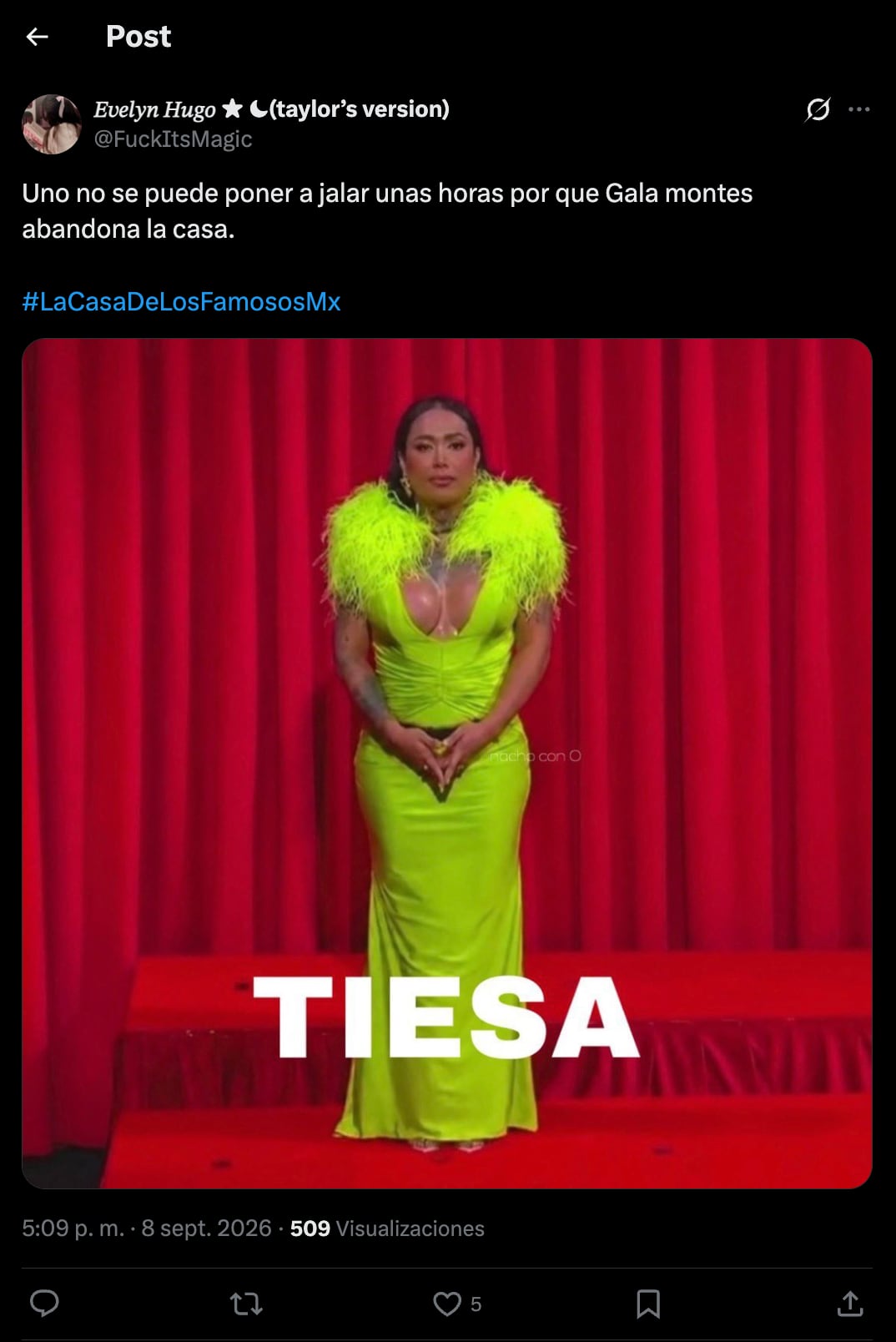 Memes sobre Gala Montes
