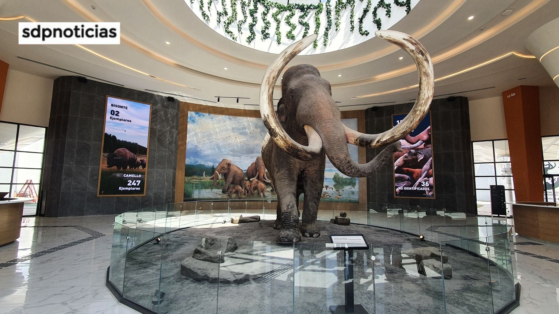 Entrada al museo del mamut en Santa Lucía