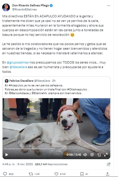 Ricardo Salinas Pliego habla de perritos muertos en Acapulco