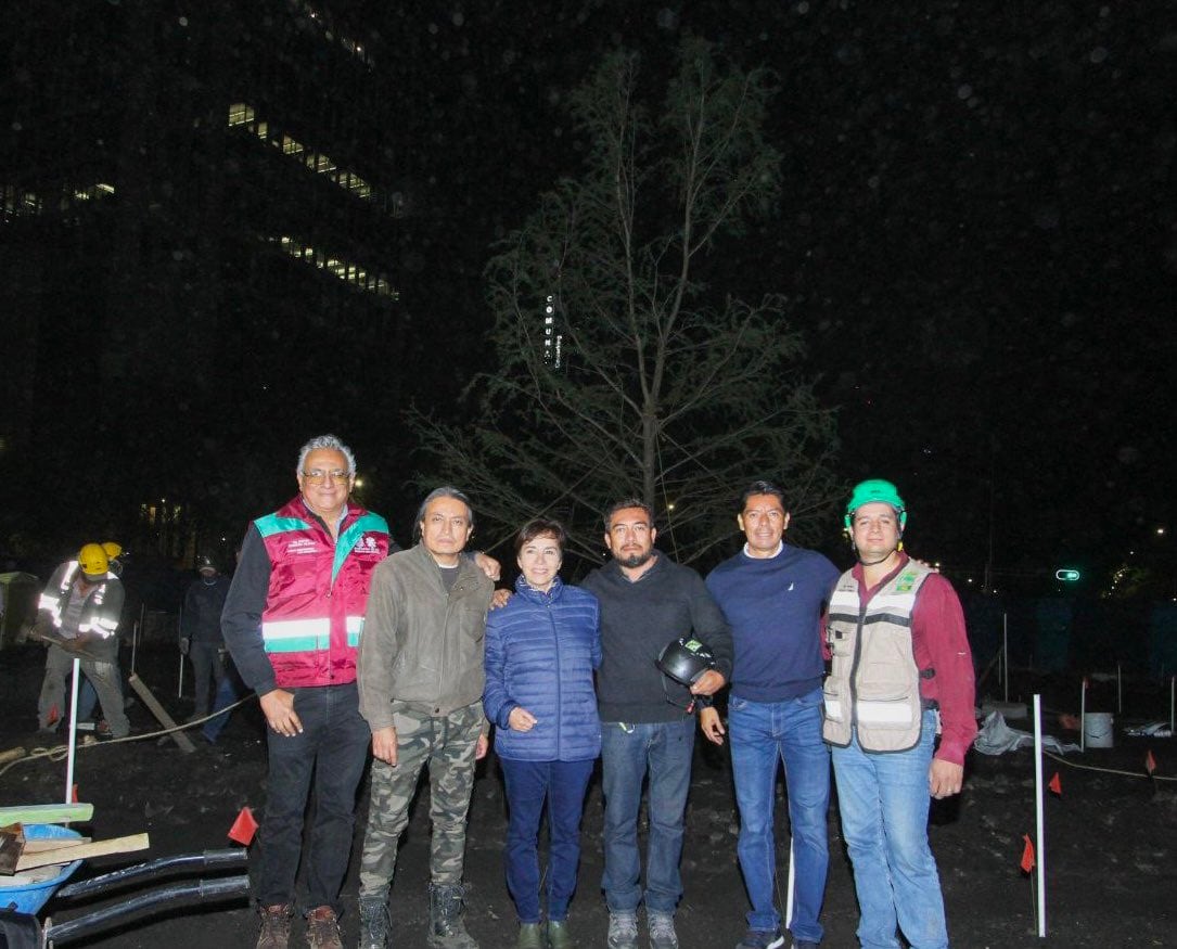 Plantan ahuehuete en CDMX