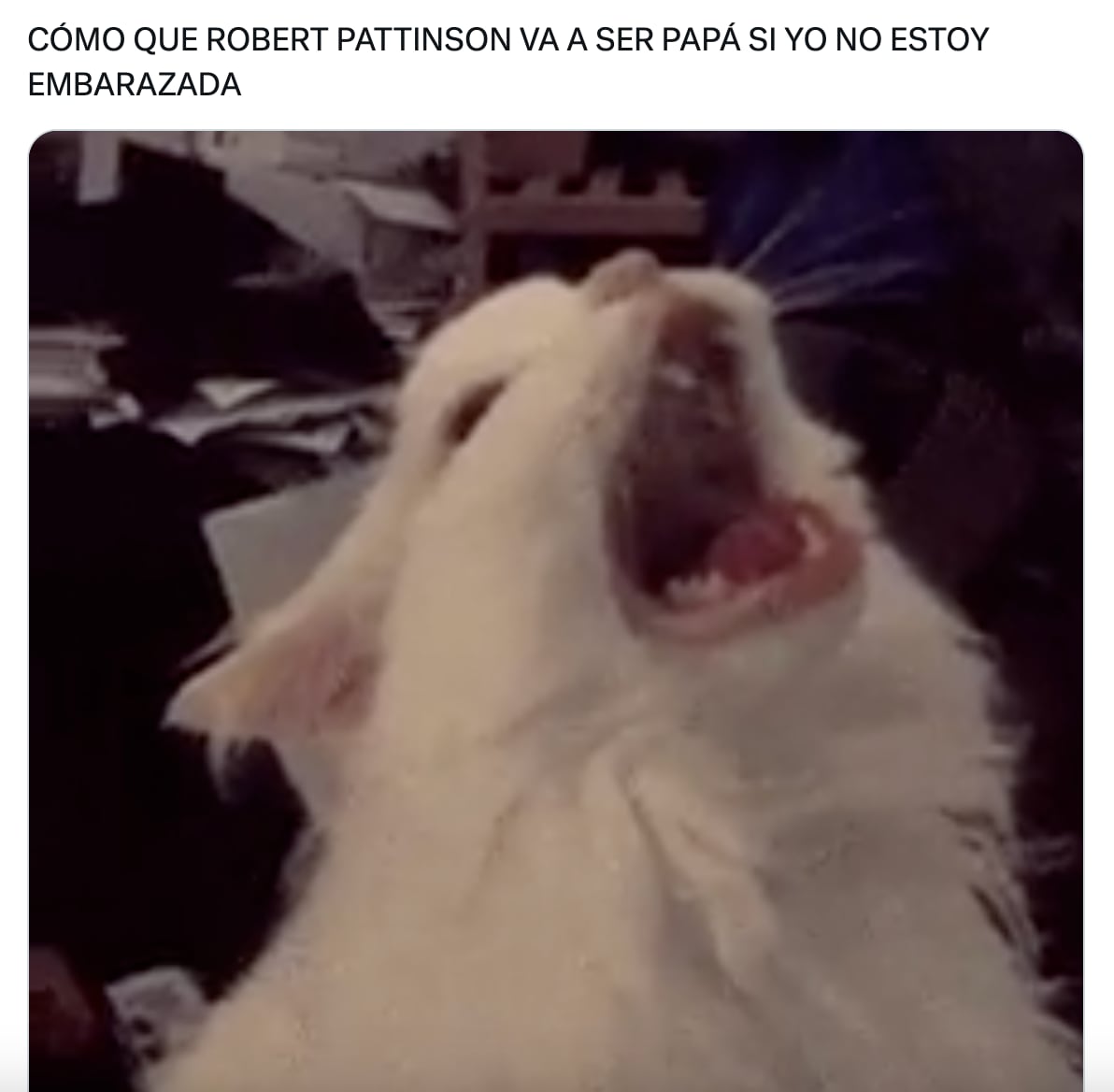 Meme por Suki Waterhouse confirmando su embarazo con Robert Pattinson
