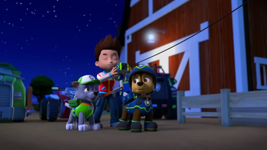 Paw Patrol por el Día Mundial del Perro Callejero