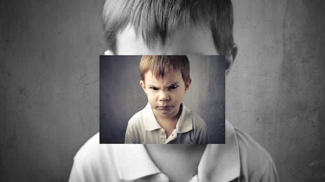 Los estudios consideran que el causante de este mal comportamiento es el olor de las feromonas naturales que emanan las madres para ofrecer a sus hijos "alivio".