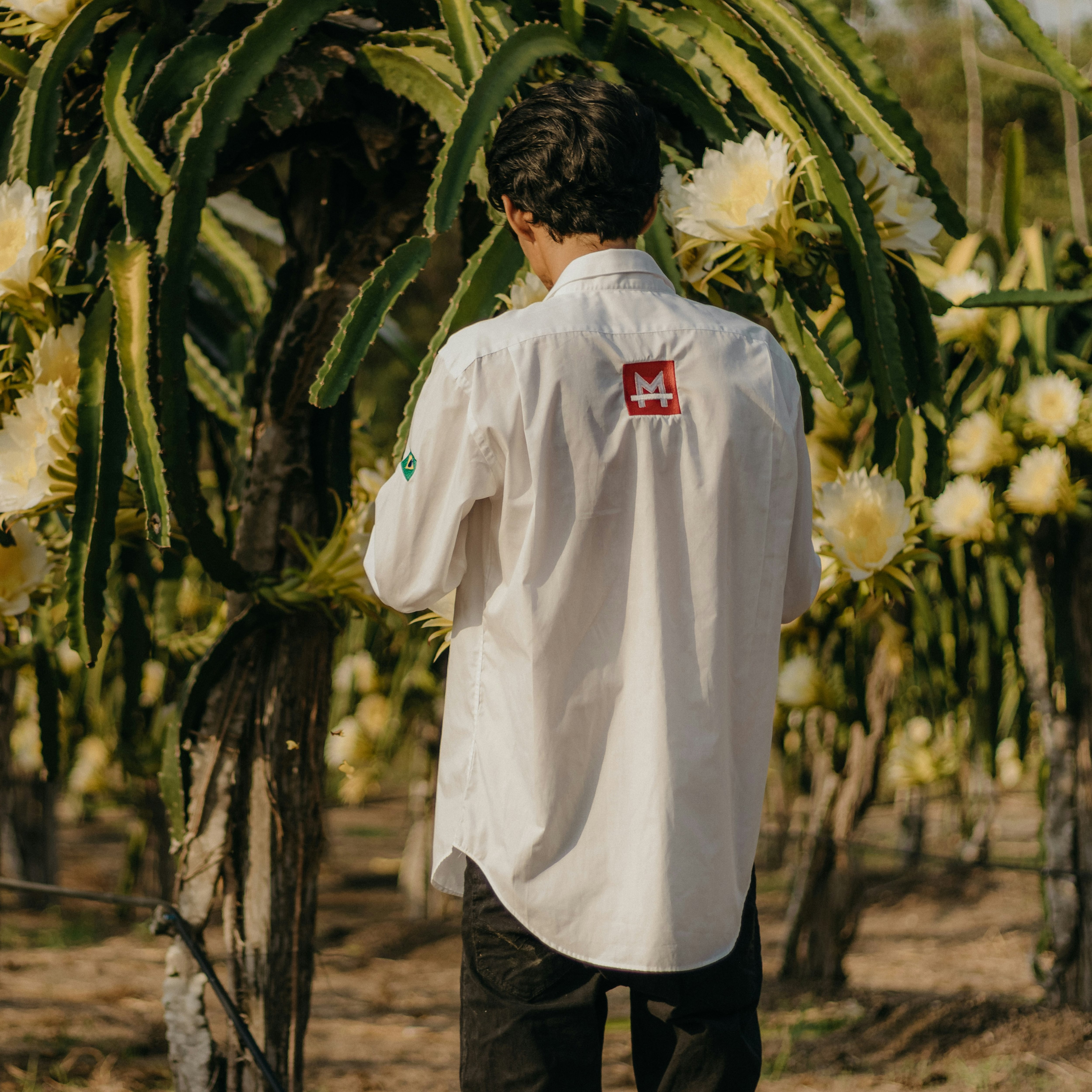 Día del Ingeniero Agrónomo en México: 12 frases para celebrar este 22 de febrero