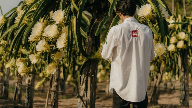 Día del Ingeniero Agrónomo en México