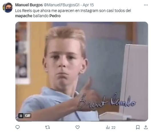 Memes del mapache "Pedro, Pedro"