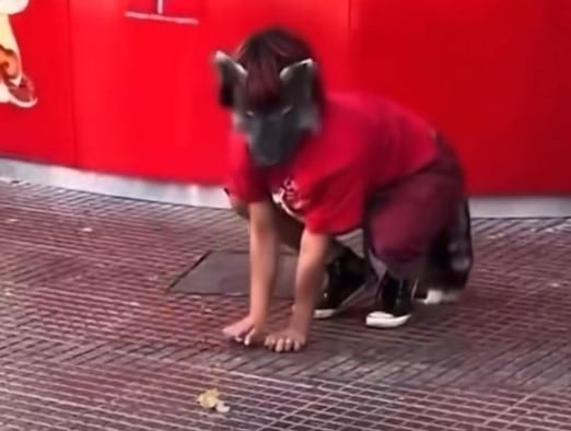 ¿Qué significa ser therian? La tendencia viral en redes