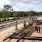 Tren Maya ofrecerá más de 44 mil oportunidades laborales para Jóvenes Construyendo el Futuro: Ariadna Montiel