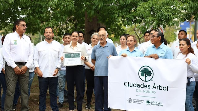 Cancún se coloca dentro de la red internacional "Ciudades Árbol del Mundo".