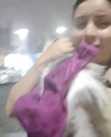 Busca a su gato y le vuela un brassiere