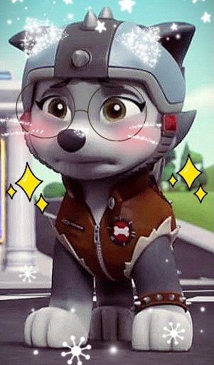Fondo de Gasket de Paw Patrol