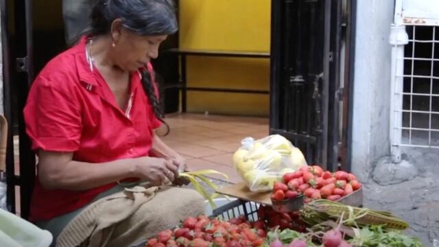 Buscan asegurar alimentos.