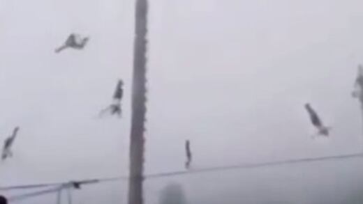 Asaltan a la familia de volador que cayó en Hidalgo desde 10 metros