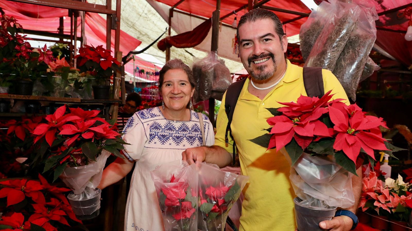 Michoacán se consolida como potencia nacional en producción de Nochebuena