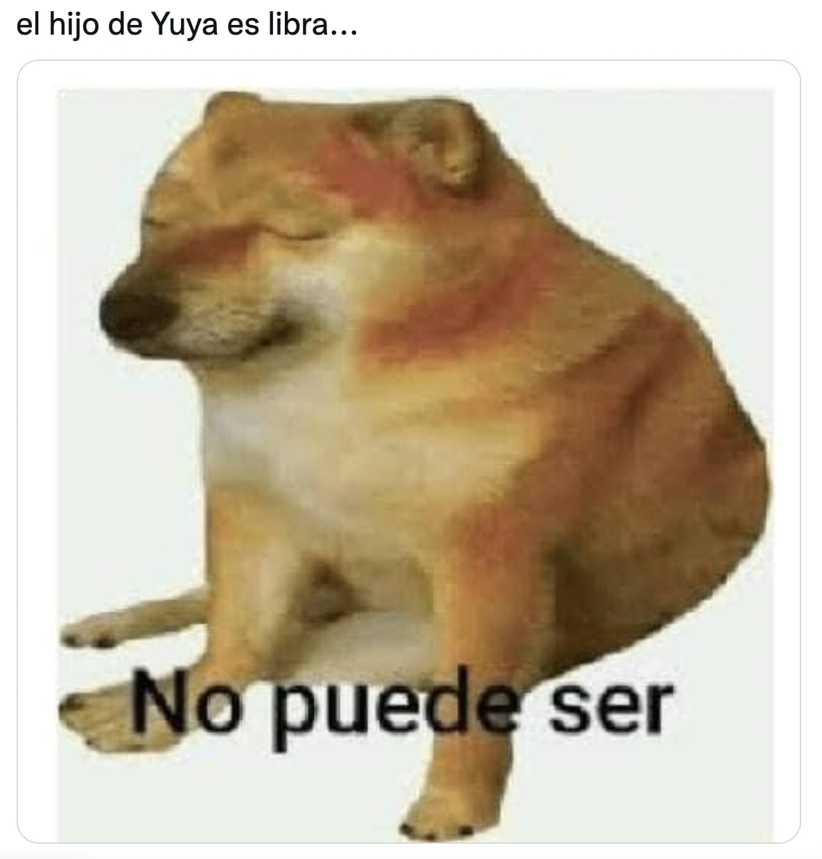 Meme sobre el bebé de Yuya