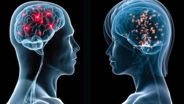 Cerebro hombre y mujer