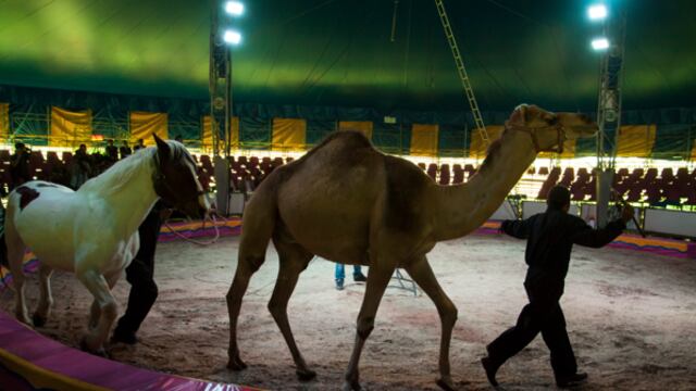 Foto/Rodolfo Angulo/Archivo/Cuartoscuro.