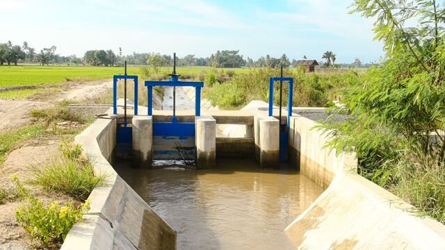 Rotoplas impulsa biodigestores que mejoran saneamiento
