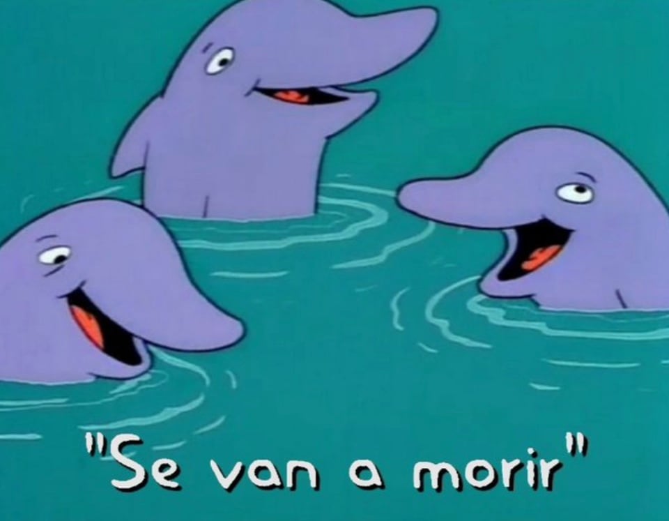 Memes semáforo verde CDMX