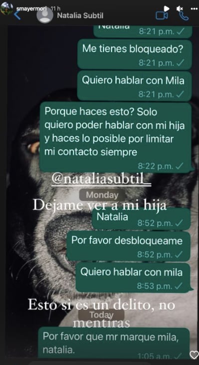 Sergio Mayer Mori difunde conversación con Natália Subtil