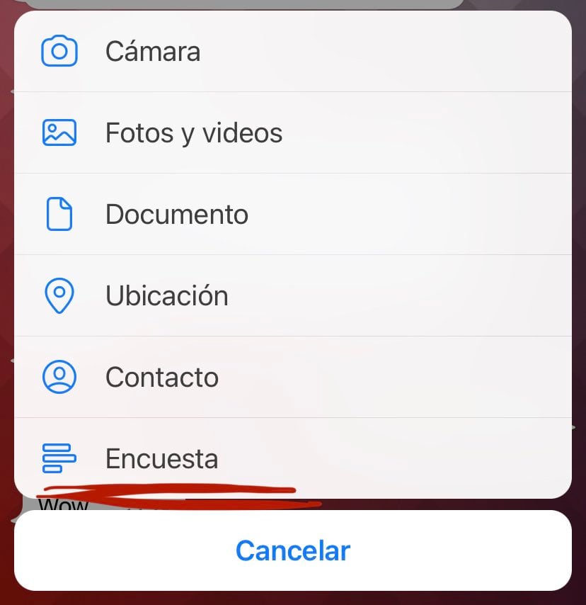 Encuesta de WhatsApp en iOS
